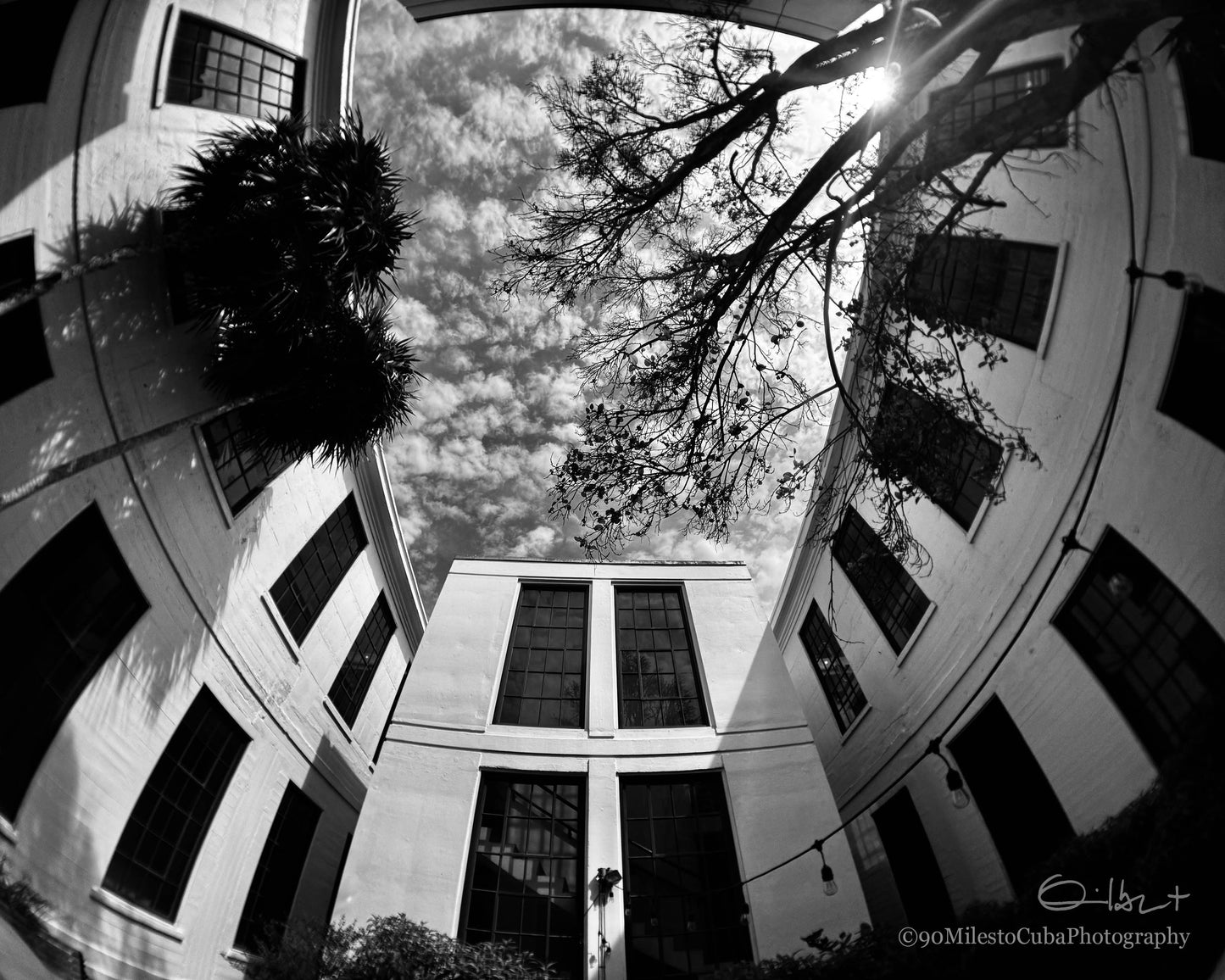 Monroe County Skylight