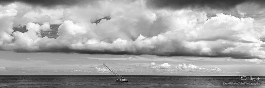 Dead Boat