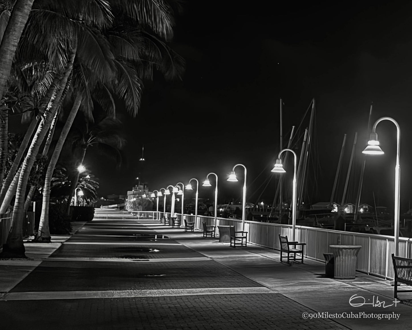 Predawn Solitude
