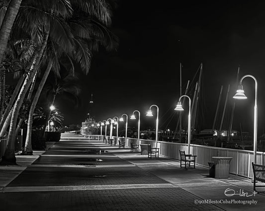 Predawn Solitude
