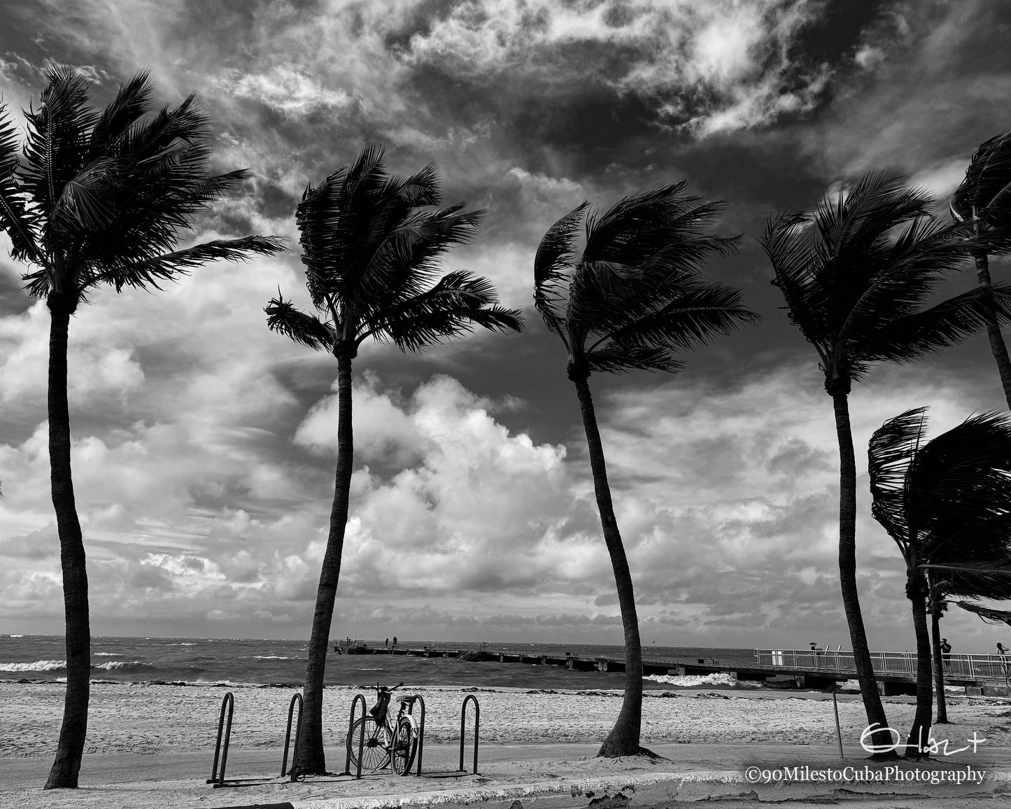 Windy Bicicleta